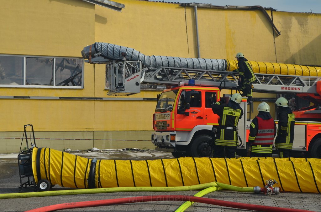 Grossfeuer Poco Lager Koeln Porz Gremberghoven Hansestr P604.JPG - Miklos Laubert